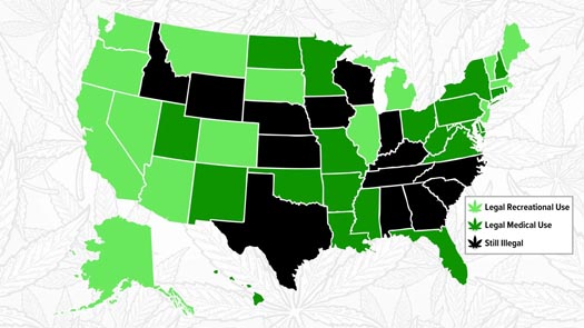 Marijuana is legal in 38 states across the United States of America