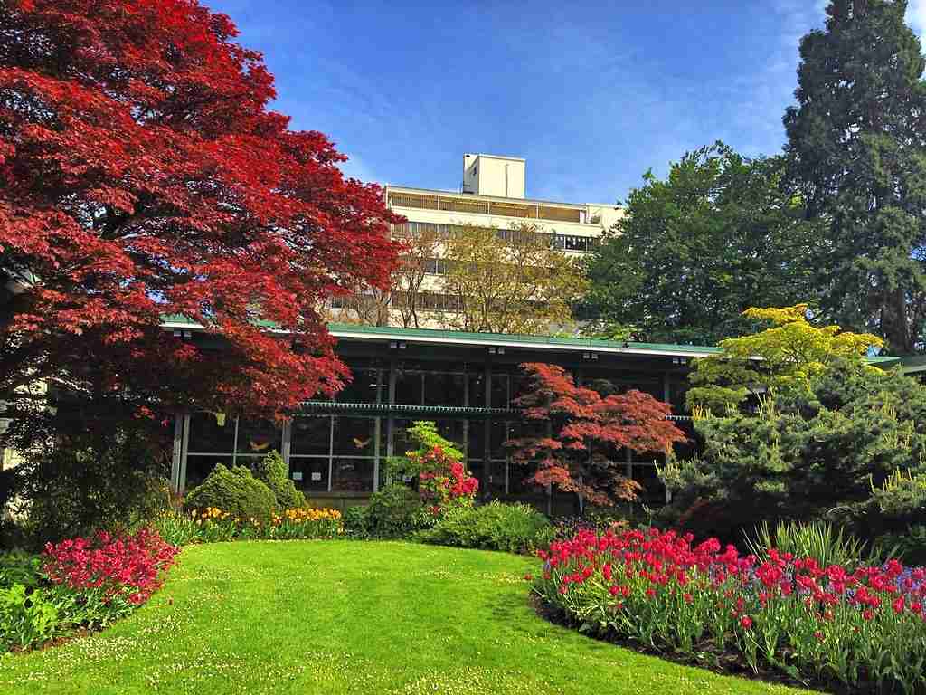 #SaveOurParkBoard | Vancouver Park Board | A Pillar of Citizen Well ...